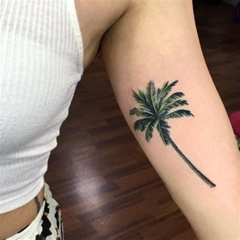 palmeras para tatuajes|Tatuajes de palmeras, palmas, cocoteros: 50 diseños。